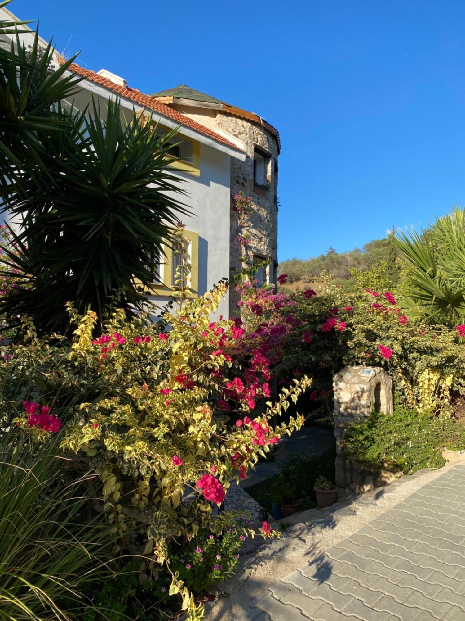 Hotel Villa Tokur Datça Extérieur photo