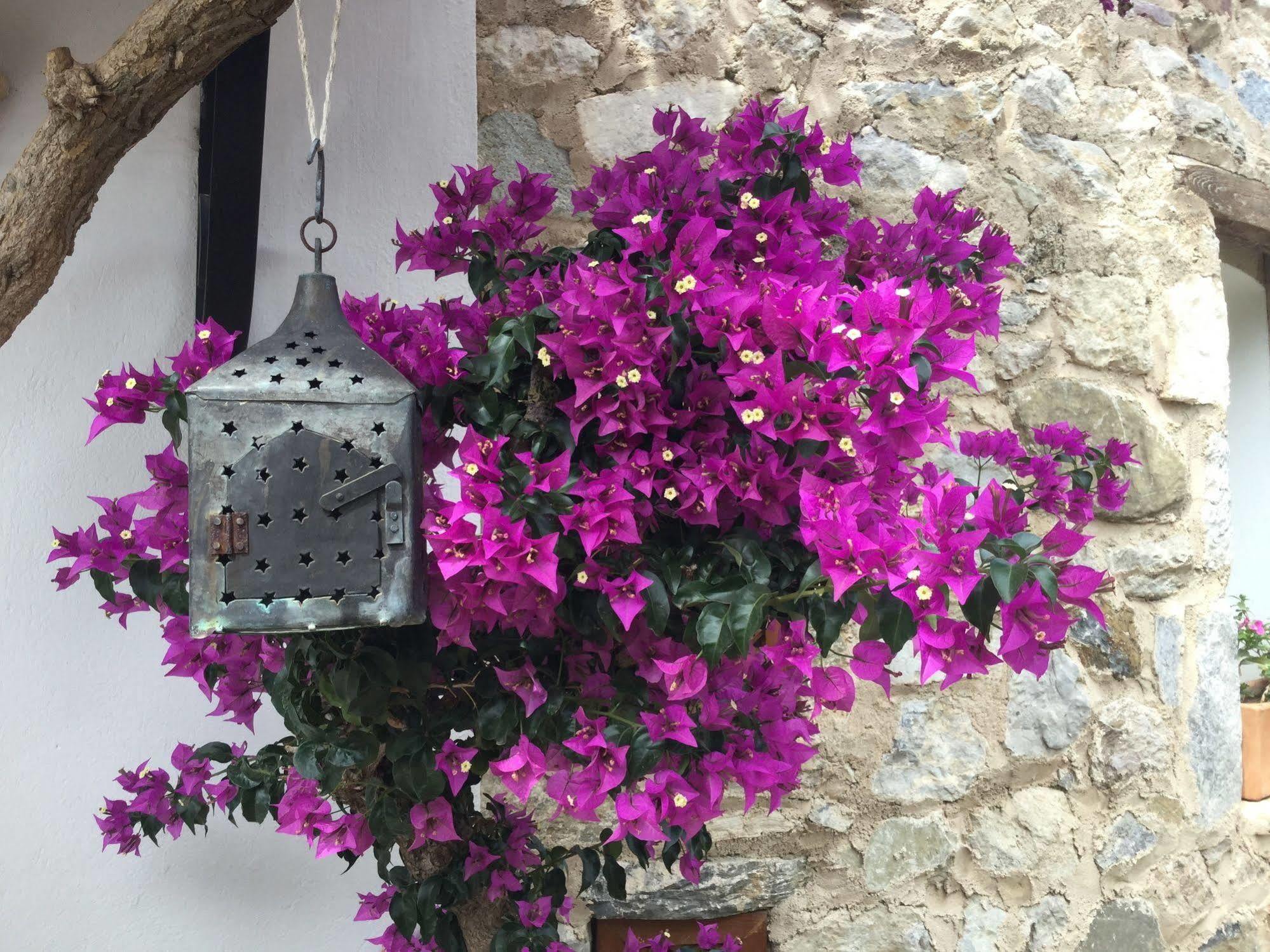 Hotel Villa Tokur Datça Extérieur photo