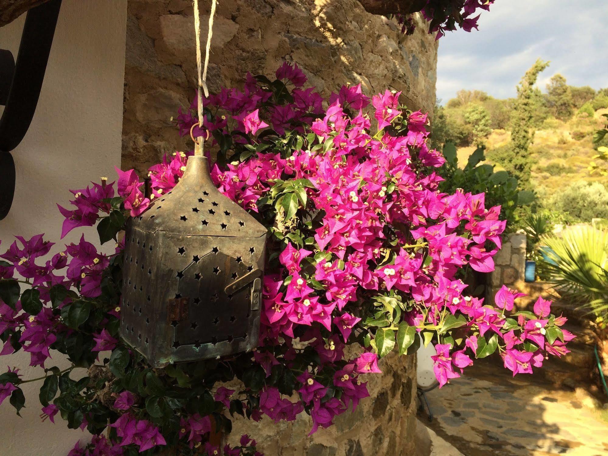 Hotel Villa Tokur Datça Extérieur photo